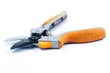 Orange  branch scissor