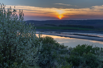 View with a white shrub.