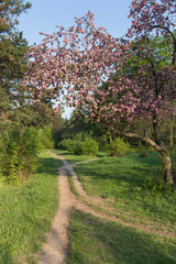 Spring is nature's great awakening.