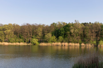 Summer in the city park.