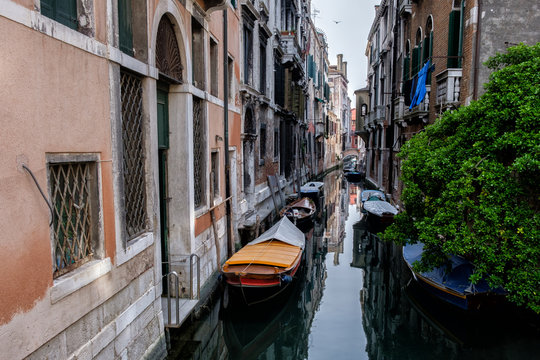 Narrow canal between old houses, boats on dark water. Green tree. Venice, Italy. © Arkd