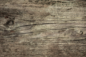 wood background, wood texture, close-up