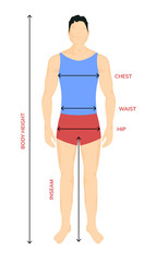 Man anatomy silhouette size. Human body full measure male figure waist, chest chart template