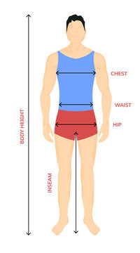 Man Anatomy Silhouette Size. Human Body Full Measure Male Figure Waist, Chest Chart Template