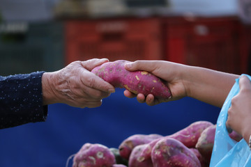 Frutas e legumes na feira