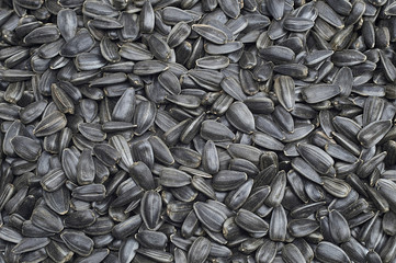 Roasted sunflower seeds large texture. For texture or background