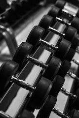 Obraz premium Dumbell at GYM, Blak and White tone