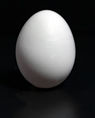 Standing white egg on a black background.