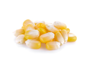 Corn isolated on a white background