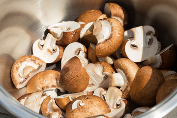 Lot of meadow mushrooms.