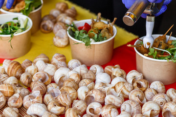 snails at the counter of the street food festival