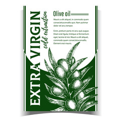 Natural Fresh Olive Tree Branch Banner Vector. Extra Virgin Cold Extraction For Olive Oil Premium Quality. Hand Drawn Vegetable With Green Leaves Layout Monochrome Poster Illustration