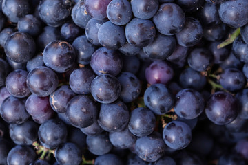 Frutas e legumes na feira