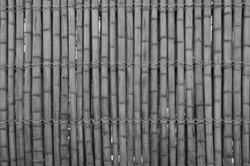Bamboo wall nature for background