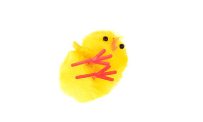 Yellow easter chick isolated