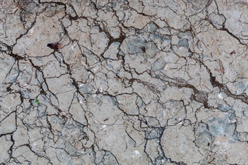 Old Weathered Natural Stone Texture