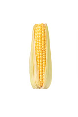 raw corn on isolated white background