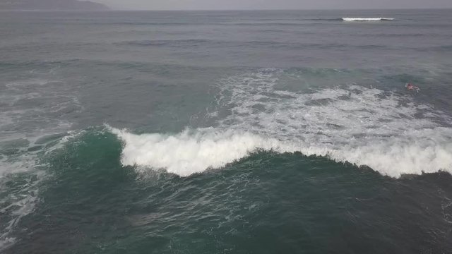 Surfers slowly make their way out through pushy shore break on Buffalo Bay, aerial