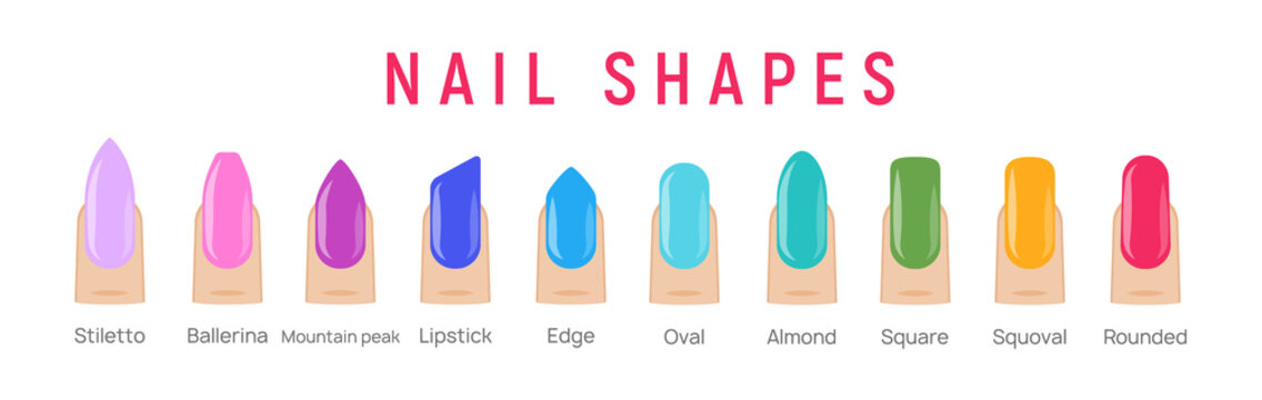 Nail shapes manicure vector art. Fingernail shape french form design fashion salon