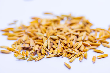 Close up The flavor up the wet grain on the white background..