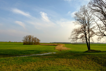 Fototapeta premium Abend im NSG Sulzheimer Gipshügel, Landkreis Schweinfurt, Unterfranken, Bayern, Deutschland