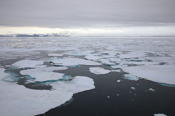 Arctic sea ice around Spitsbergen, Svalbard