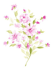 Fototapeta na wymiar Watercolor flowers illustration