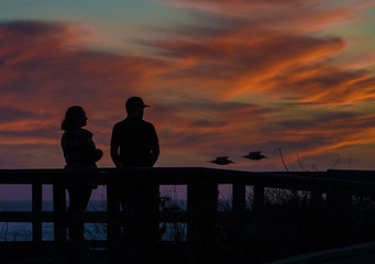 Obraz premium Romantic silhouette of people (a young couple) watching the sunset along the Pacific Coast of California, in Cambria, as 2 seagulls fly past. 