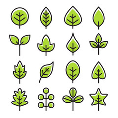 Leaf vector design line icon. Green line leaf plant outline symbol nature