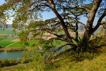 Naturschutzgebiet Grainberg-Kalbenstein