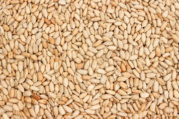peeled sunflower seeds as a background texture