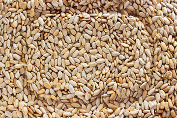 peeled sunflower seeds as a background texture