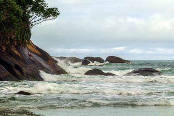 Obraz premium Praia de Itamambuca IMG_6661