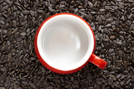 Empty Red Bowl With Pen On A Background Of Sunflower Seeds Top View