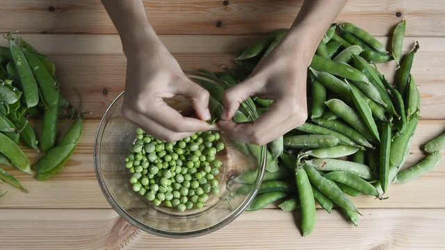 womans hand takes and sorting fresh green pea bean from stack, opens and puts peas into glass bowl and husk on wooden table, top view of closeup full hd stock video footage in real time