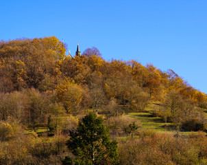 Fototapeta premium Weinberge im Abt-Degen-Weintal bei Ziegelanger, Ortsteil von Zeil am Main, Landkreis Haßberge, Unterfranken, Franken, Bayern, Deutschland