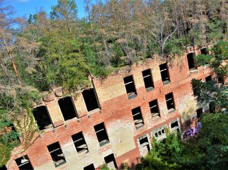 Wald auf Haus - Ruine Beelitz Heilst&auml;tten