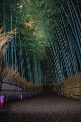 嵐山花灯篭