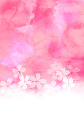 桜　春　水彩イラスト