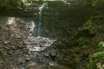 Beautiful summer landscape.