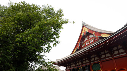Fototapeta na wymiar sensoji temple in tokyo in japan