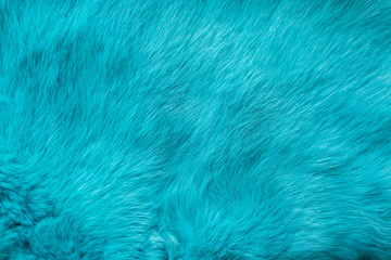blue rabbit fur Texture, animal skin background