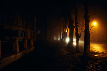 fog in the night city after rain, car headlights