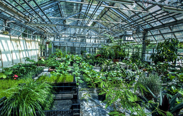 Universität, botanischer Garten, Österreich, Salzburg, Salzbur