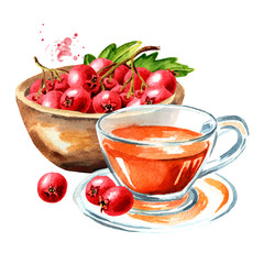 Hawthorn homemade hot tea and Bowl with Hawthorn berries. Watercolor hand drawn illustration isolated on white background