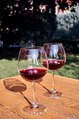 Two Glasses of Fresh Red Wine for Celebration