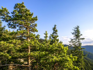 Hohe Wand Region, Österreich, NIederösterreich, Schneeberg Rax