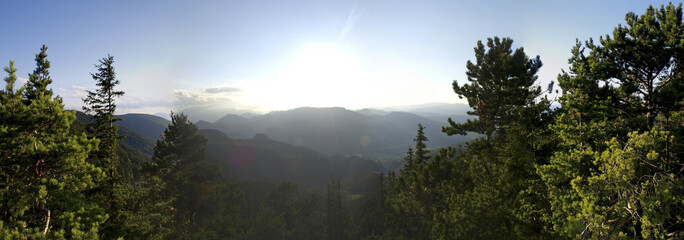 Waldlandschaft, Österreich, NIederösterreich, Südliches NÖ,