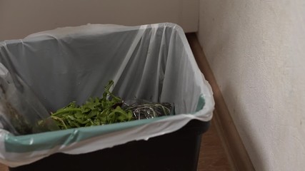 Housewife throws rotten vegetables in the trash. Reducing food loss and waste. Food waste or loss is food that is wasted or lost uneaten
