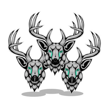 Three head of deer on white background 